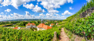 Fastenwoche in Radebeul